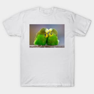 Budgie pair in love Portrait Wall Art Photograph T-Shirt